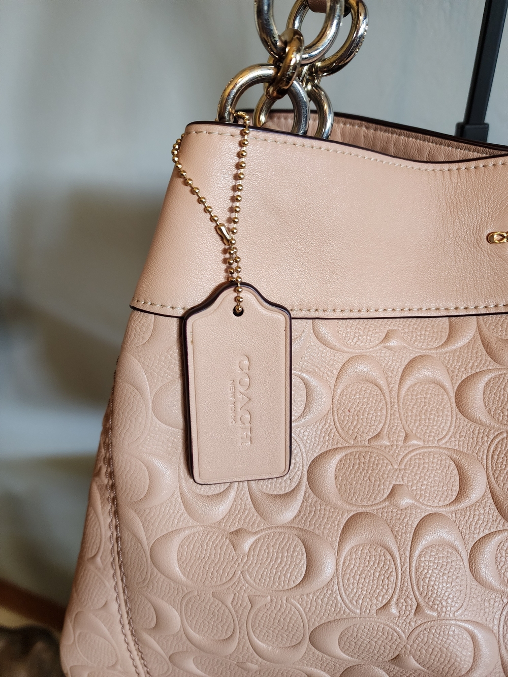 Coach Lexy Shoulder Bag In Nude Pink With Puffed Monogram - Picture 3 of 15